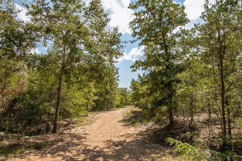 Fm 180, Ledbetter, TX 78946 photo 4