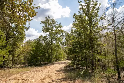 Fm 180, Ledbetter, TX 78946 photo 2