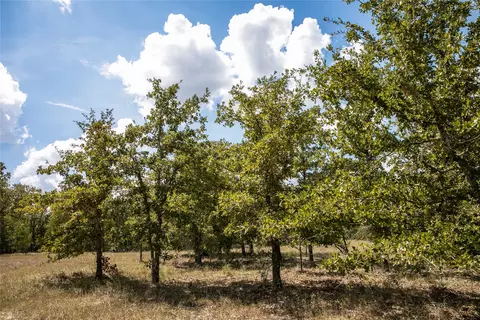 Fm 180, Ledbetter, TX 78946 photo 7
