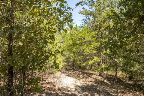 Fm 180, Ledbetter, TX 78946 photo 6