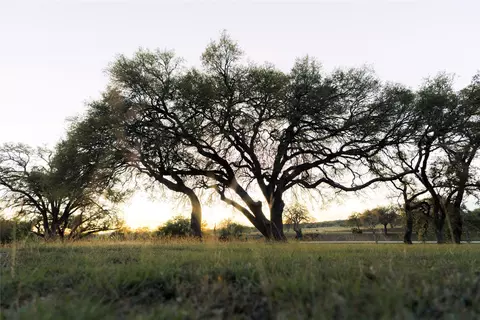 157 Chick Ranch Loop, Blanco, TX 78606 photo 8