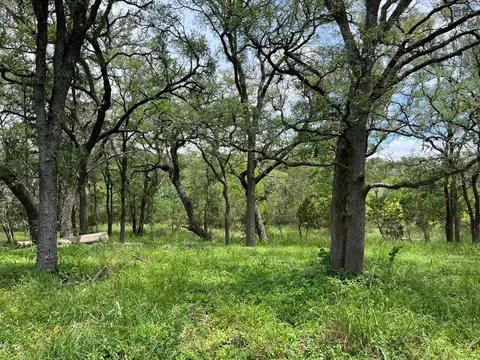 tbd Lot Pt 19 Narrows Rd, Blanco, TX 78606