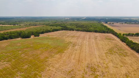 5647 Cr 429, Thorndale, TX 76577