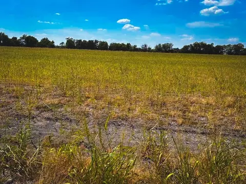 Cr 3061 Lot 2 Highway, Thorndale, TX 76577