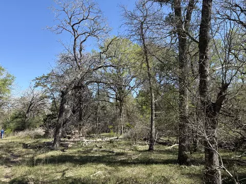 tbd Anchor Ranch Loop, Flatonia, TX 78941 photo 21