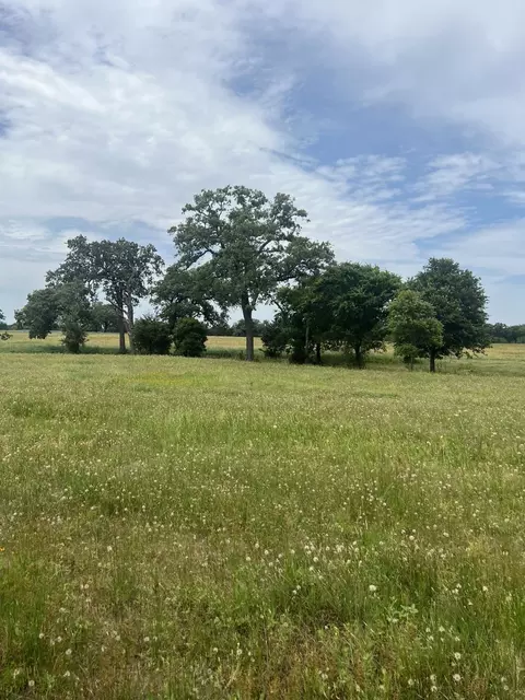 tbd 2 Davis Rd, Smithville, TX 78957