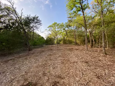 tbd Parcel 1 Paffen Dr, Paige, TX 78659