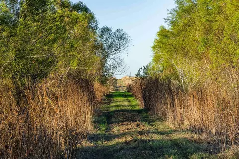 3191 County Road 463, Elgin, TX 78621 photo 7