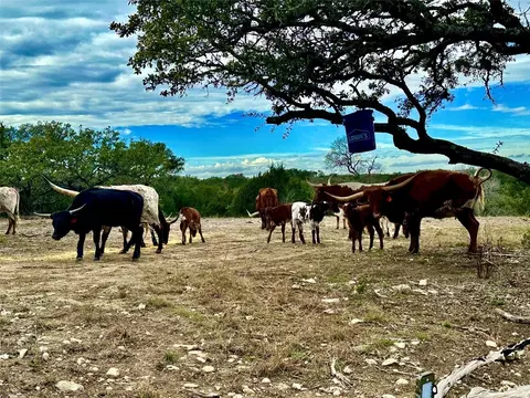 1200 Lipan Apache Run, Blanco, TX 78606 photo 9