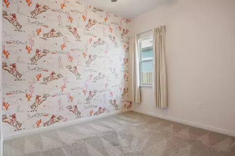 Bedroom - 16617 Sumptuous Dr, Manor, TX 78653 photo 12 of 12