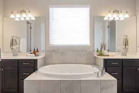 Bath - 16617 Sumptuous Dr, Manor, TX 78653 photo 1 of 4