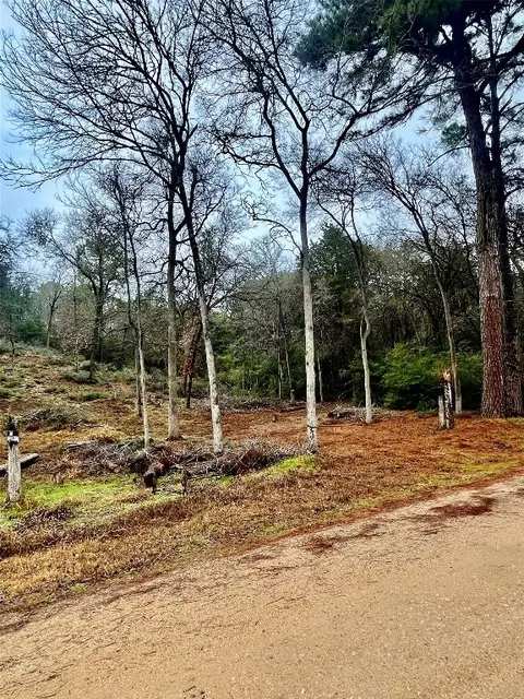 122 Helemano Dr, Bastrop, TX 78602