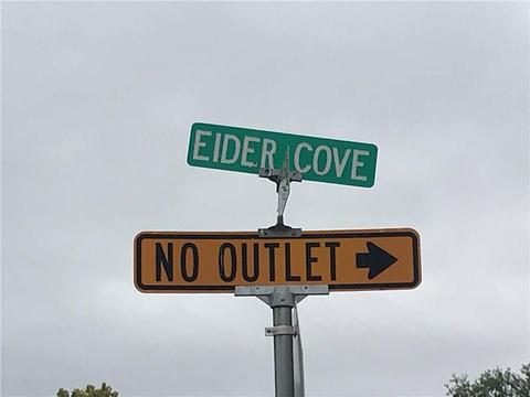 411 Eider Cv, Spring Branch, TX 78070 photo 10