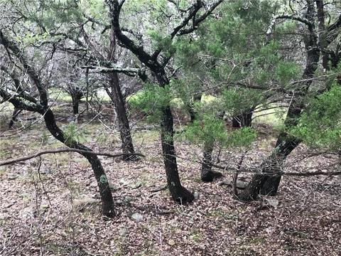 411 Eider Cv, Spring Branch, TX 78070 photo 2