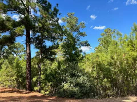 lot986 Kailua L Ln, Bastrop, TX 78602