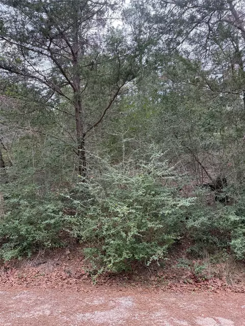 lot1428 Keeau Ct, Bastrop, TX 78602