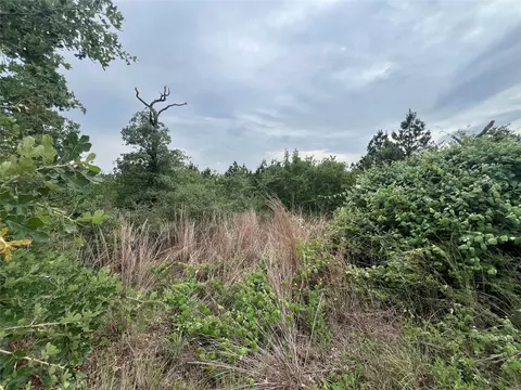 tbd Blue Jay Rd, Bastrop, TX 78602 photo 8