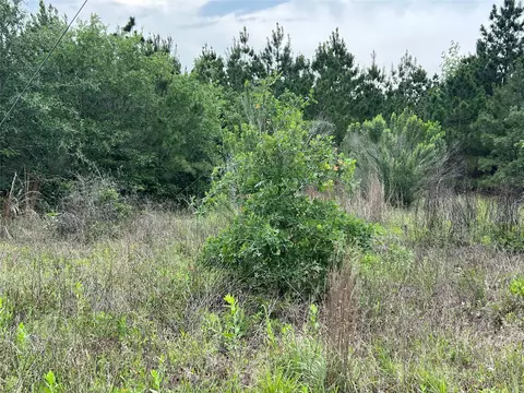 tbd Blue Jay Rd, Bastrop, TX 78602 photo 6