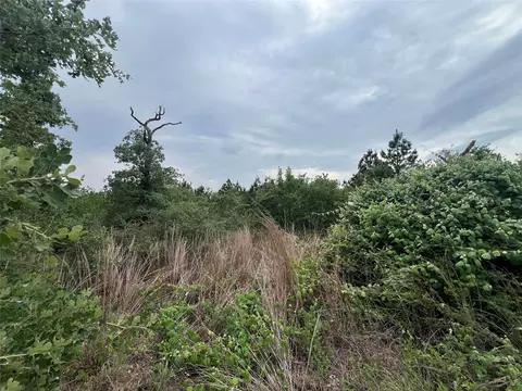 tbd Blue Jay Rd, Bastrop, TX 78602 photo 9