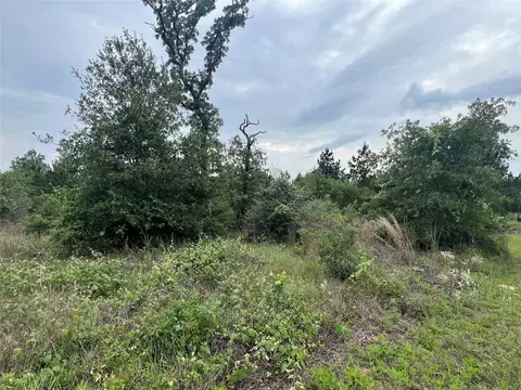 tbd Blue Jay Rd, Bastrop, TX 78602 photo 4