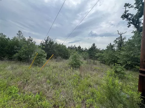 tbd Blue Jay Rd, Bastrop, TX 78602 photo 7