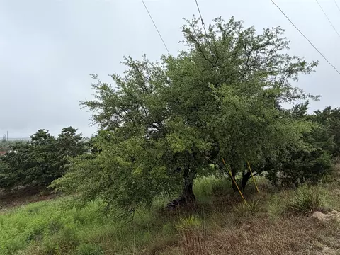 17408 Lake Wood Cir, Dripping Springs, TX 78620