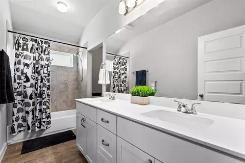 Bath - 156 Appleberry Ln, Elgin, TX 78621 photo 3 of 4