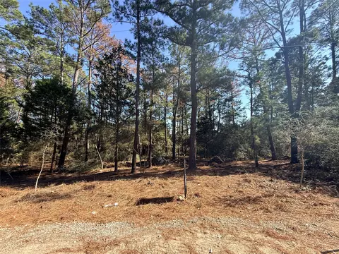 lot59 S Hill Ridge Rd, Bastrop, TX 78602