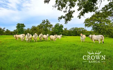 tbd Fm 908, Caldwell, TX 77836