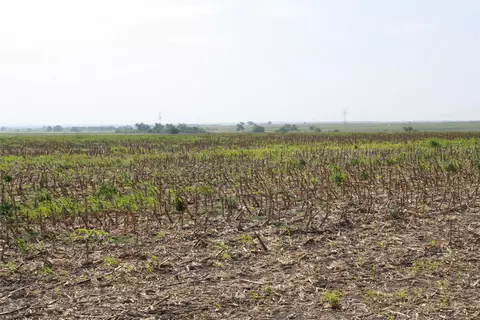 tbd Gooseneck Rd #2, Bartlett, TX 76511 photo 9