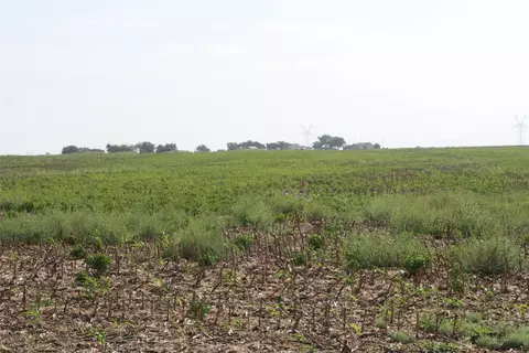 tbd Gooseneck Rd #2, Bartlett, TX 76511 photo 7