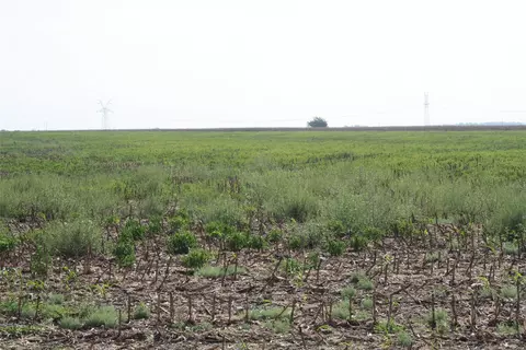 tbd Gooseneck Rd #2, Bartlett, TX 76511 photo 8