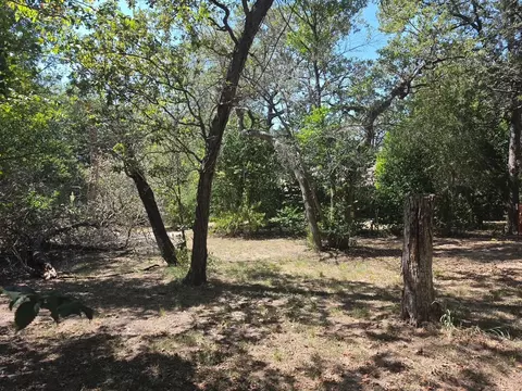 Exterior - 109 Pine Cone Ln, Elgin, TX 78621 photo 9 of 10