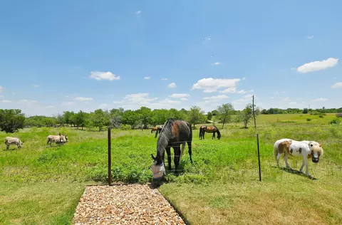 Other - 524 Ferrule Dr, Kyle, TX 78640 photo 4 of 4