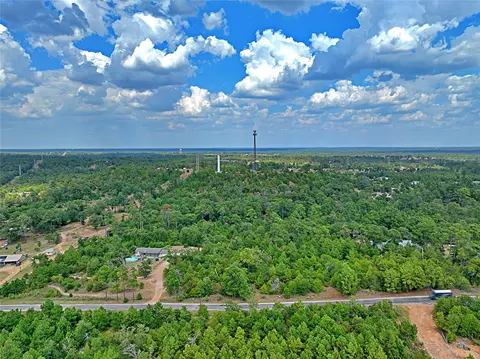 tbd Pine Tree Loop, Bastrop, TX 78602 photo 7