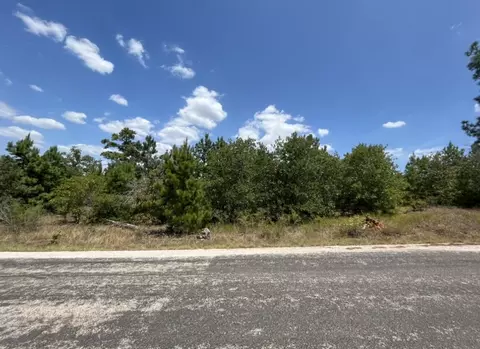 tbd Pine Tree Loop, Bastrop, TX 78602 photo 9