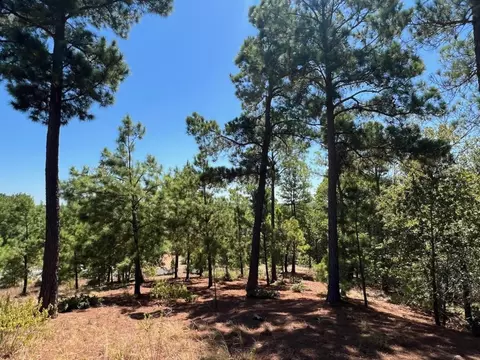 lot666 Honopupu Dr, Bastrop, TX 78602