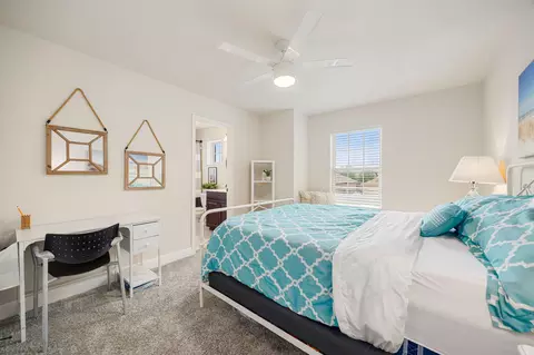 Bedroom - 225 Pettigrew Path, Buda, TX 78610 photo 6 of 7