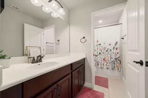 Bath - 225 Pettigrew Path, Buda, TX 78610 photo 6 of 6
