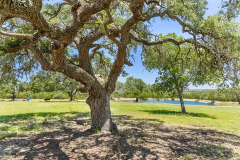Undisclosed, Blanco, TX 78606 photo 4