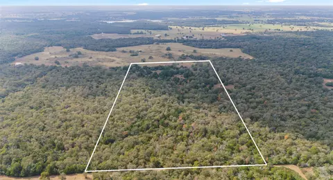 tbd County Rd #415, Lexington, TX 78947