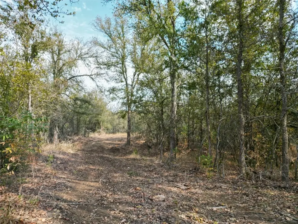  3935 County Road 464, Elgin, TX 78621 photo 30