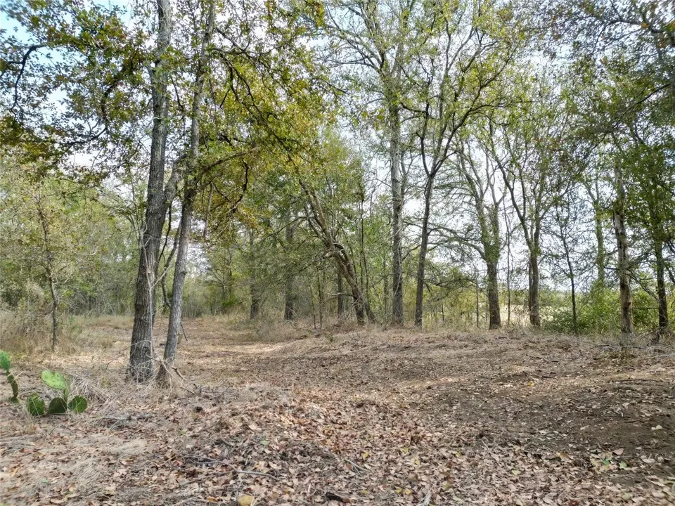  3935 County Road 464, Elgin, TX 78621 photo 28