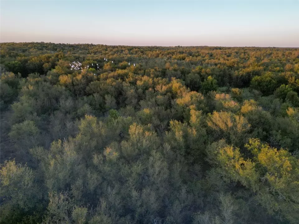  3935 County Road 464, Elgin, TX 78621 photo 12