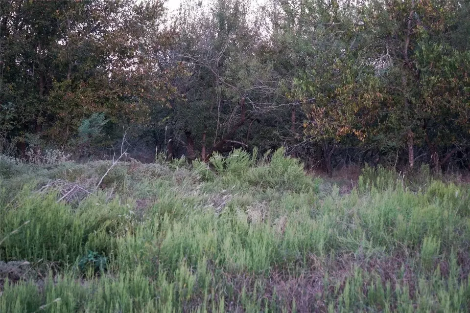  3935 County Road 464, Elgin, TX 78621 photo 34