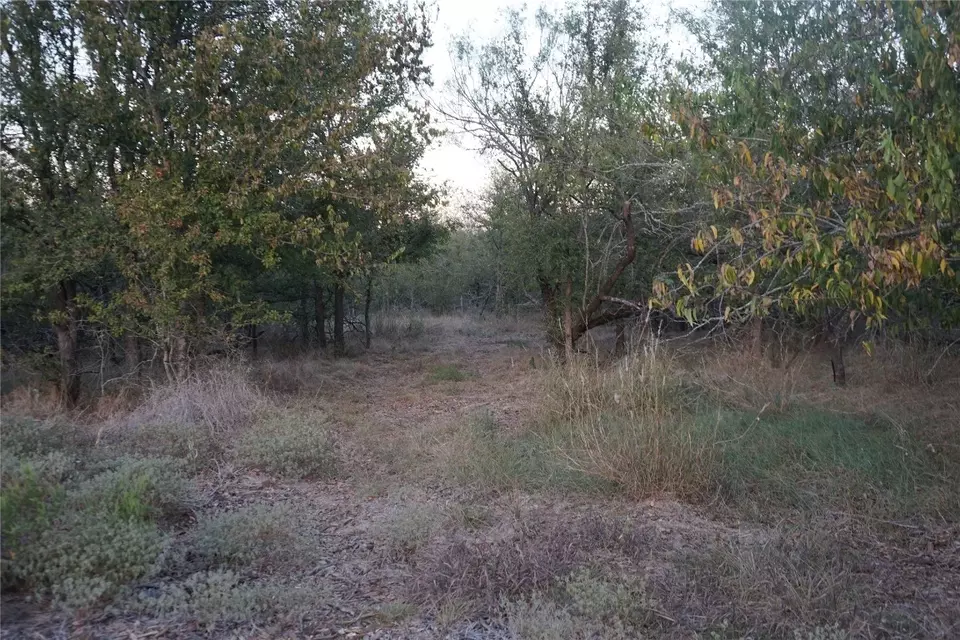  3935 County Road 464, Elgin, TX 78621 photo 35