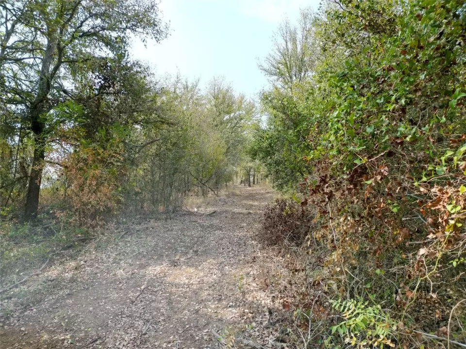  3935 County Road 464, Elgin, TX 78621 photo 31