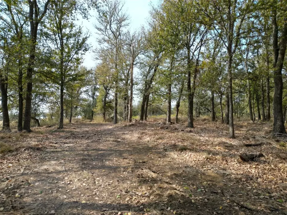  3935 County Road 464, Elgin, TX 78621 photo 18