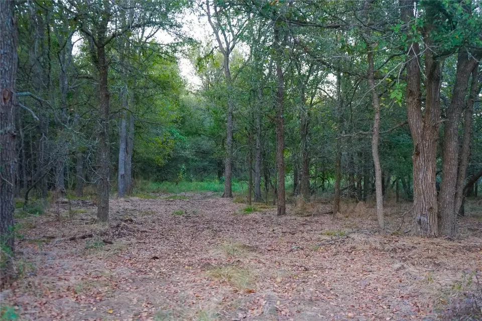  3935 County Road 464, Elgin, TX 78621 photo 37