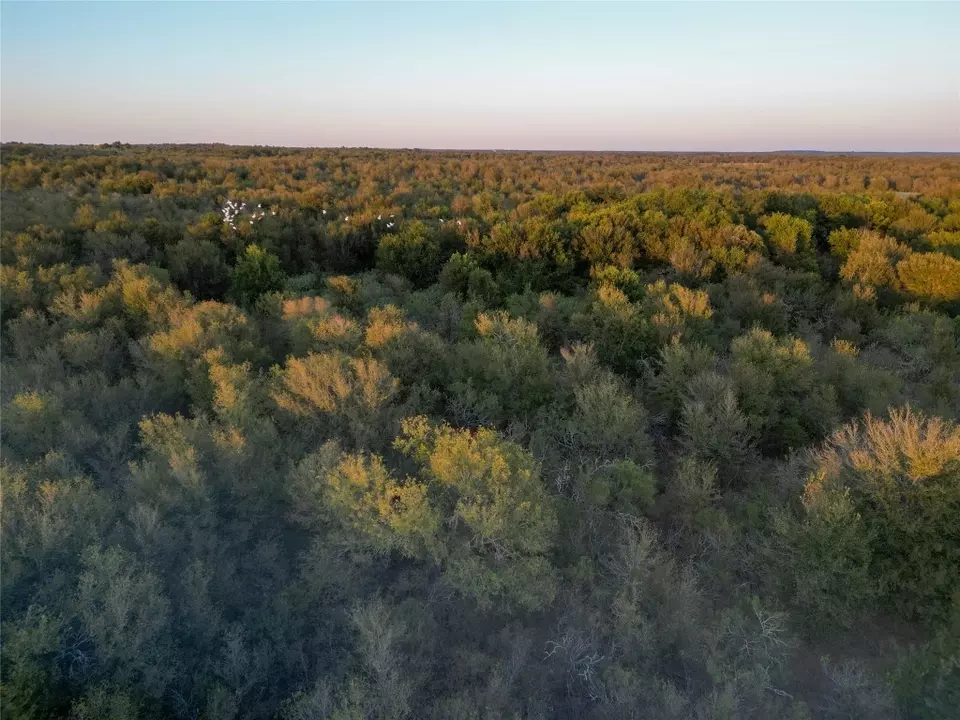  3935 County Road 464, Elgin, TX 78621 photo 11